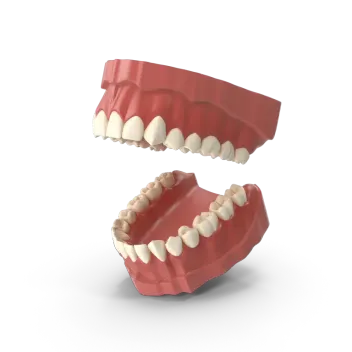 Консультация Гнатолога